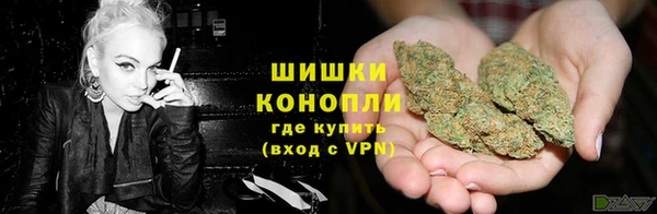 прущая мука Бородино