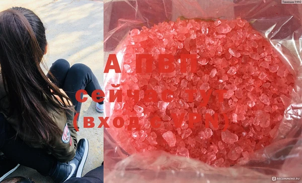 прущая мука Бородино