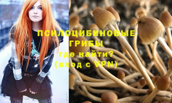 стаф Бугульма