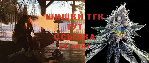 стаф Бугульма