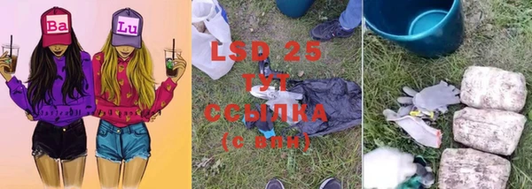 стаф Бугульма