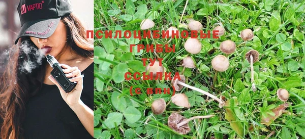 таблы Бронницы