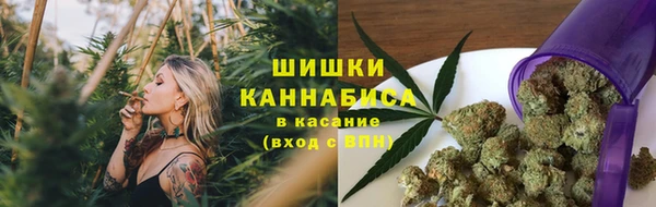стаф Бугульма